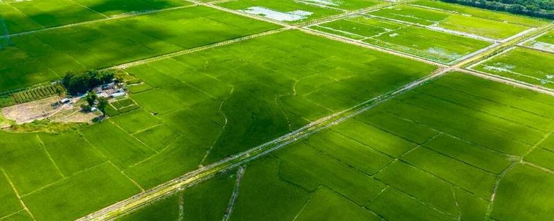 哪种农业是生态农业，基塘农业属于生态农业