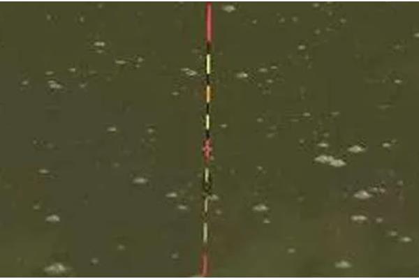野钓鲫鱼怎么选鱼漂，尽量选择漂尾比较长的