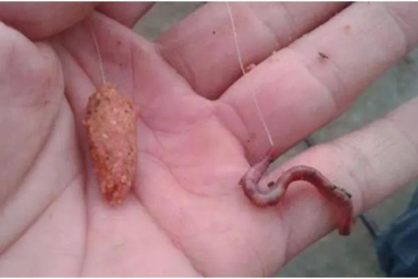 野钓鲫鱼怎么选鱼漂，尽量选择漂尾比较长的