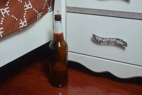 樱桃蟑螂的卵多久可以孵化，通常需要1个月左右