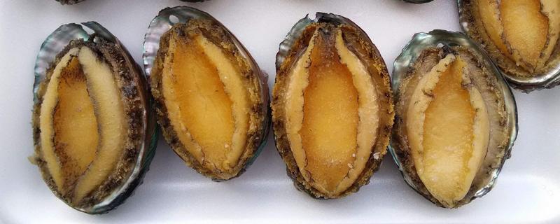 鲍鱼的食用部位，主要吃肥厚的足部肌肉