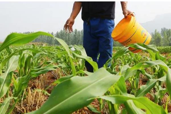 磷酸二氢钾的简介，属于高效复合肥