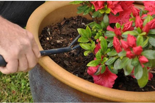 磷酸二氢钾的简介，属于高效复合肥