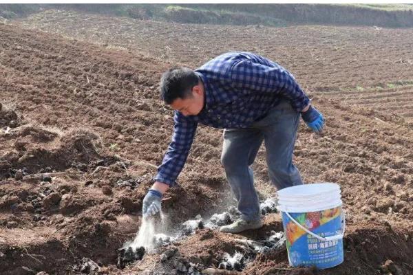 磷酸二氢钾的简介，属于高效复合肥