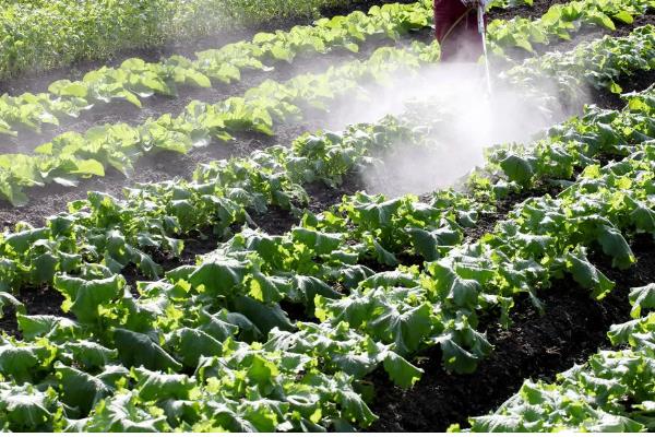 磷酸二氢钾的简介，属于高效复合肥