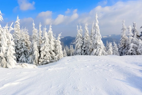 立冬是什么意思，代表着冬天的来临