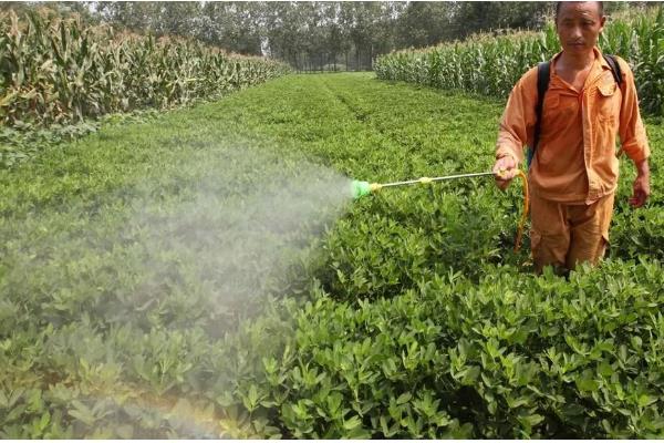 二氢钾喷多久下雨不影响，浓度不同吸收效果不同