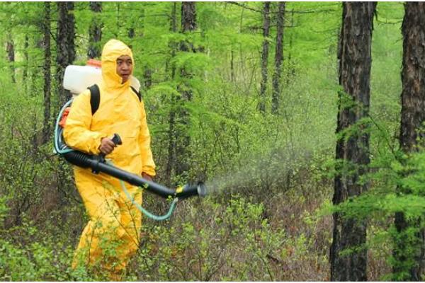 落叶松褐锈病的防治方法，发病前喷洒波尔多液、石硫合剂等