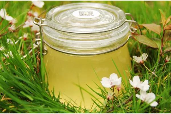 油菜花蜜结晶的状态，呈白色的细粒状或油脂状