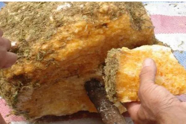 石蜜是如何形成的,是甘蔗汁经过太阳暴晒后形成的原始蔗糖