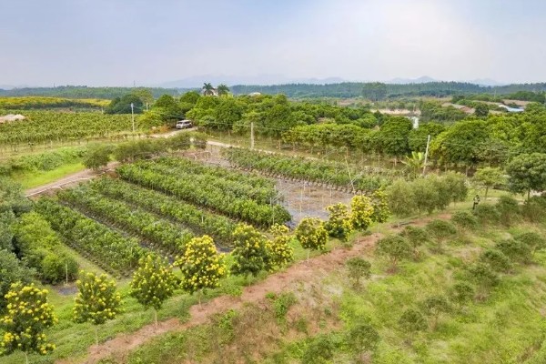 哪种农业是生态农业，基塘农业属于生态农业