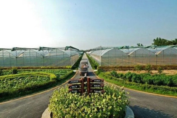 哪种农业是生态农业，基塘农业属于生态农业