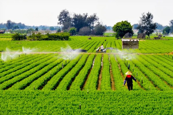 哪种农业是生态农业，基塘农业属于生态农业