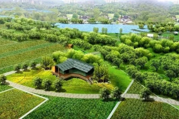 哪种农业是生态农业，基塘农业属于生态农业