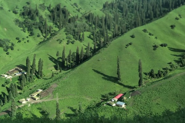 哪种农业是生态农业，基塘农业属于生态农业