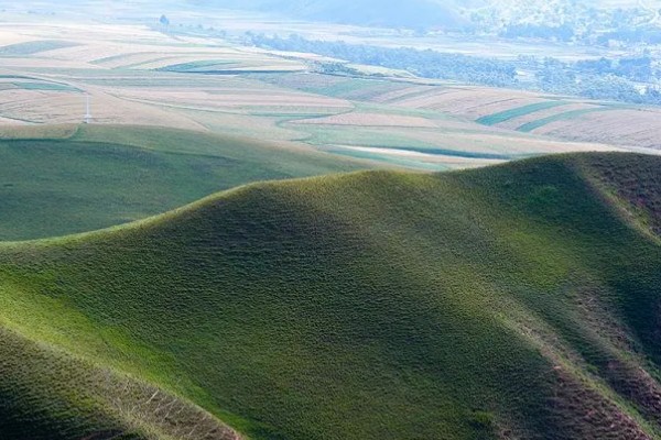 哪种农业是生态农业，基塘农业属于生态农业