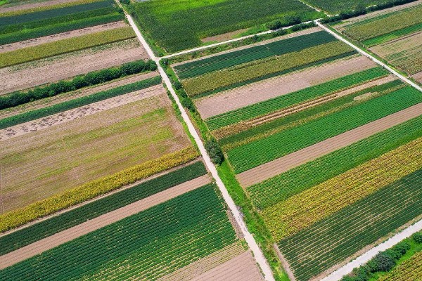 哪种农业是生态农业，基塘农业属于生态农业