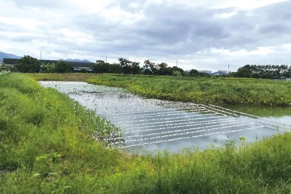 哪种农业是生态农业，基塘农业属于生态农业