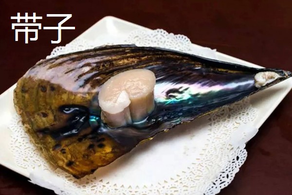 常见可食用的贝类，常见的有扇贝、带子等