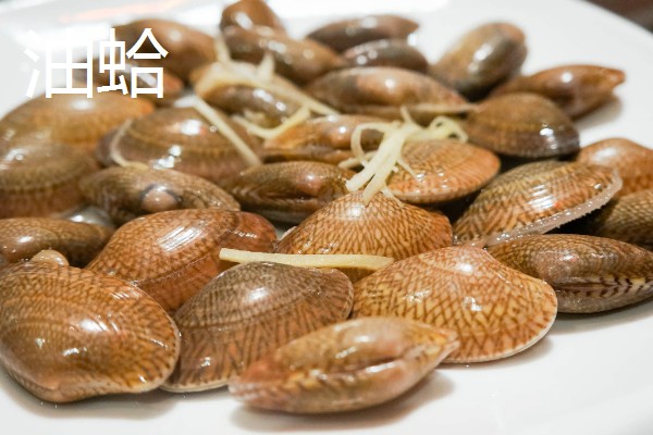 常见可食用的贝类，常见的有扇贝、带子等