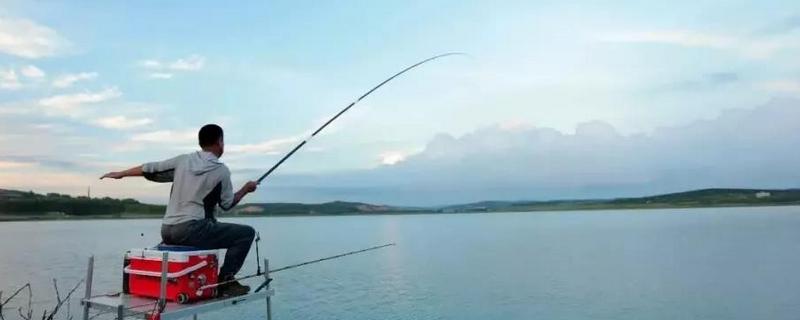 有什么比较好的6.3米的台钓竿，浪尖1号、竹山五代等品牌值得推荐