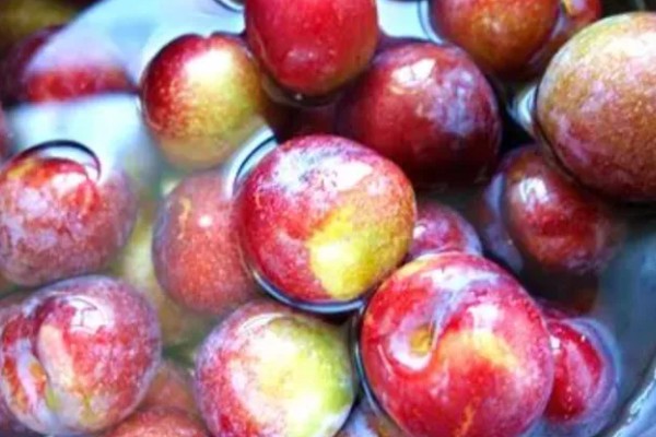 市场需求量大的李子品种，有青脆李、蜂糖李等