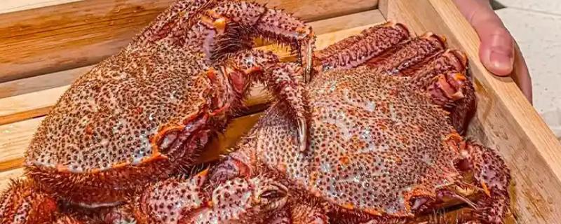 红毛蟹的产地，主要产地在日本、俄罗斯等