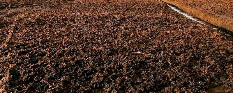 泥炭土好还是草炭土好，属于同一种纤维物