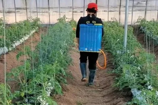 多菌灵的使用方法，不同作物的使用方法不同