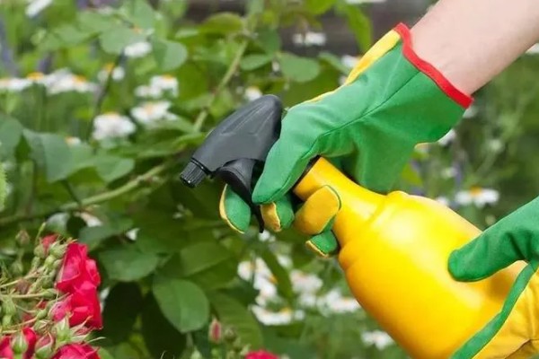 多菌灵的使用方法，不同作物的使用方法不同