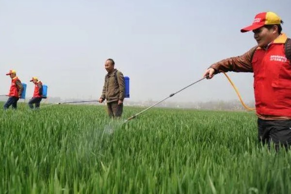 多菌灵的使用方法，不同作物的使用方法不同