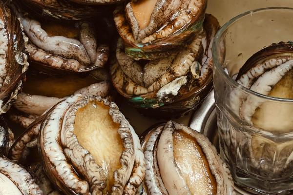 鲍鱼的食用部位,主要吃肥厚的足部肌肉