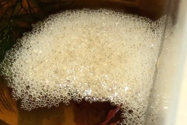 中国斗鱼怎么繁殖，成熟后会自然配对