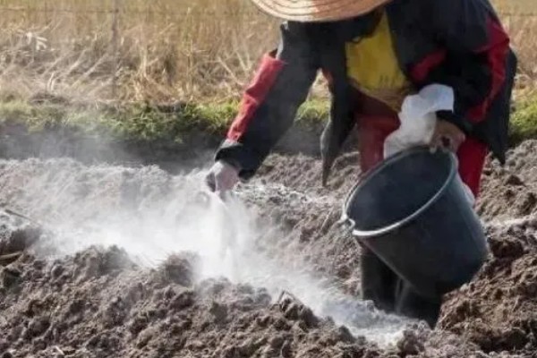 使用草木灰要注意什么，可做底肥和追肥