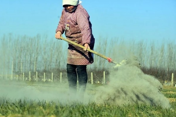 使用草木灰要注意什么，可做底肥和追肥