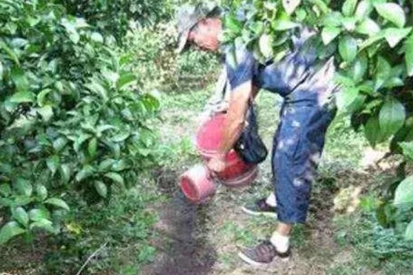 使用草木灰要注意什么，可做底肥和追肥