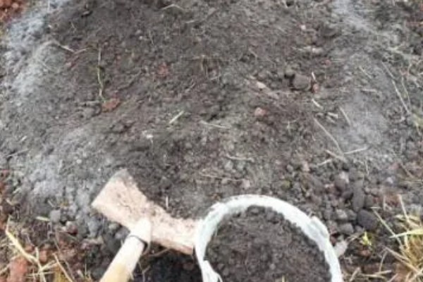 使用草木灰要注意什么，可做底肥和追肥