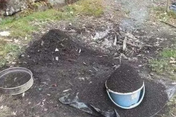 使用草木灰要注意什么，可做底肥和追肥