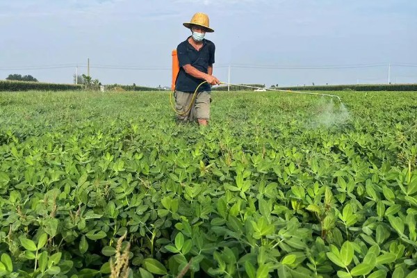 使用除草剂为什么发生药害，可能是环境不合适