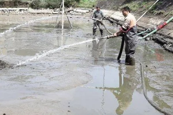 鱼塘青苔怎么治理，搭建遮阳网可抑制青苔生长