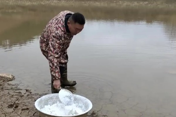 鱼塘青苔怎么治理，搭建遮阳网可抑制青苔生长