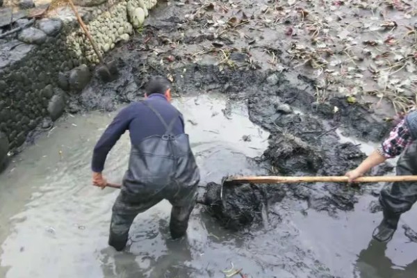 鱼塘青苔怎么治理，搭建遮阳网可抑制青苔生长