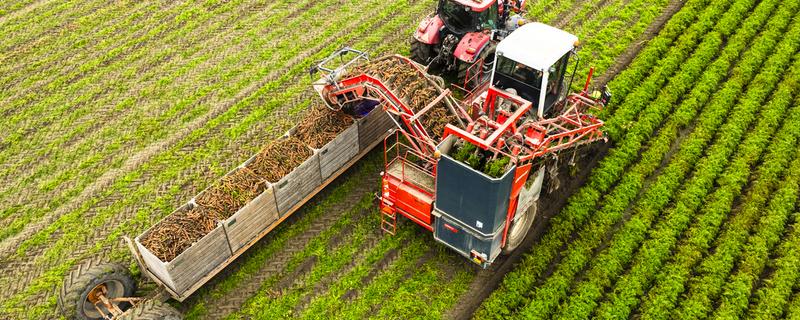 农业产业化经营的核心，核心是经营一体化