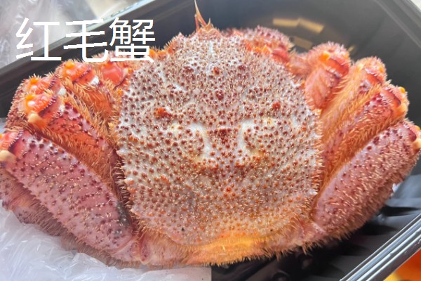 红毛蟹的产地，主要产地在日本、俄罗斯等