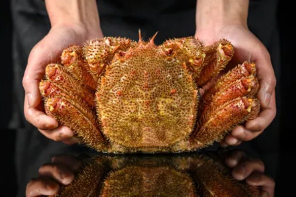 红毛蟹的产地，主要产地在日本、俄罗斯等