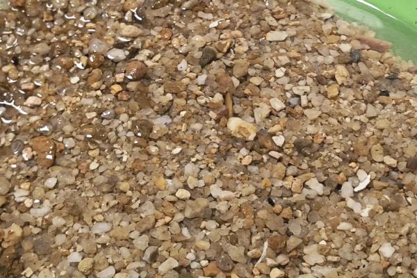 甲鱼冬天在家如何存养,要注意换水的温度