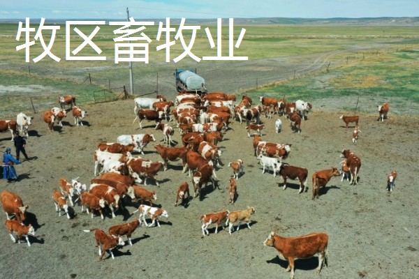 牧区和农业区畜牧业的特点,牧区畜牧业经营管理方法为粗放