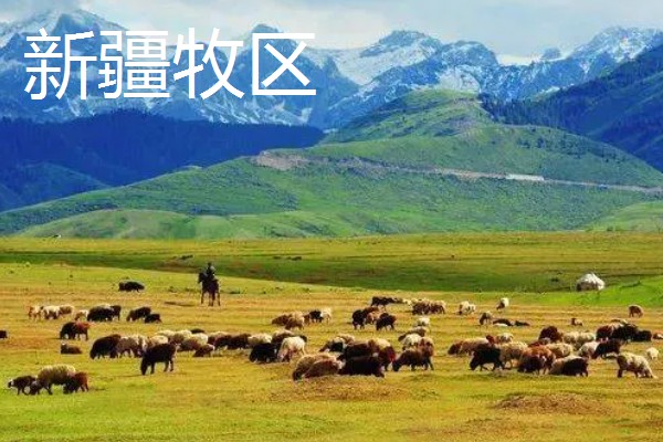 牧区和农业区畜牧业的特点,牧区畜牧业经营管理方法为粗放