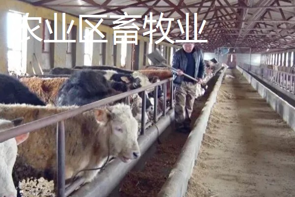 牧区和农业区畜牧业的特点,牧区畜牧业经营管理方法为粗放