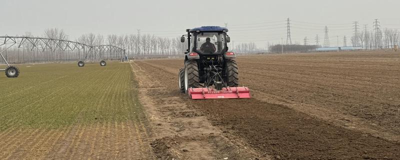 东北地区春玉米播种要点，要在5月20日前完成播种